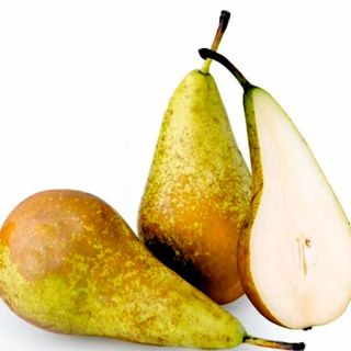 Pere Conference 700gr