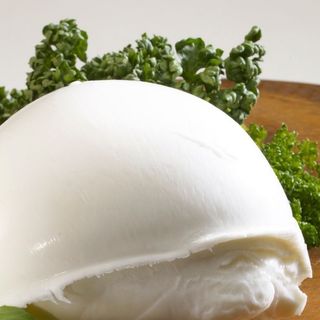 Bufala campana con pesto