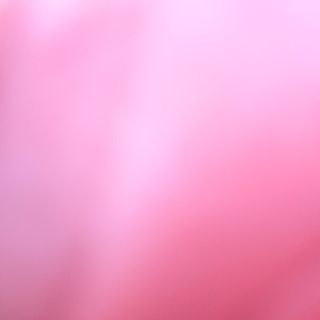 VINO ROSATO