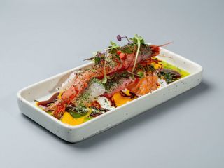 Sashimi burrata truffle special