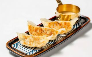 Gyoza tori 4 pezzi