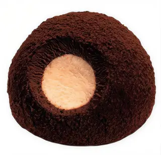 Tartufo artigianale