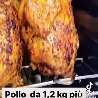 Pollo