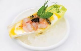 211 Carpaccio burrata