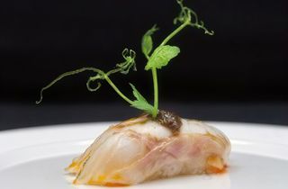 363Nigiri tai scottato tartufo 2 pezzi