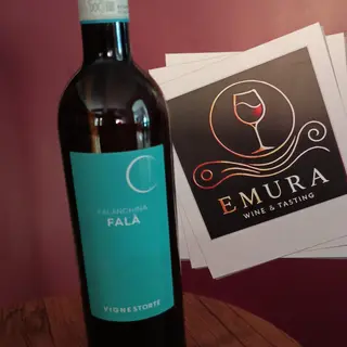 Falà 2024