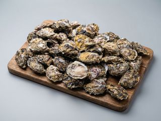 Special st Michel 1 pezzo