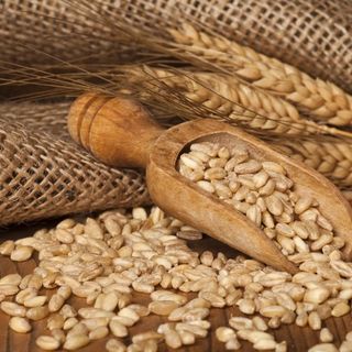 Caffè d’Orzo - grande