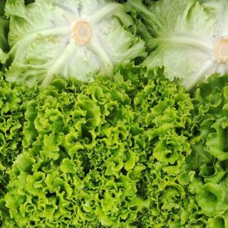 Veg