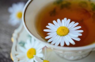 Infuso camomilla