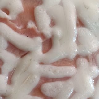 Mezza teglia Crostino