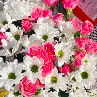 Rosa Rose 7 pezzi con margerita bianchi 4 pezzi