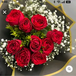 Rosa Rosso 7 pezzi con gypsophila