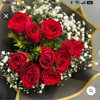 Rosa Rosso 7 pezzi con gypsophila