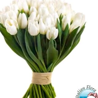 Tulipani bianchi 20 pezzi