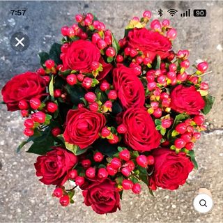 Rosa Rosso 9 pezzi con pericon 8 pezzi