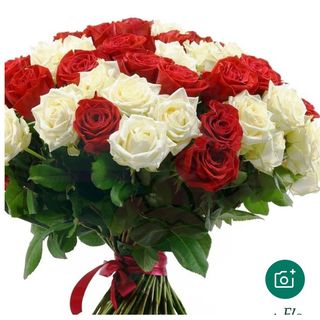 Rosa Rosso+bianchi 51 pezzi