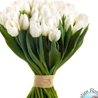 Tulipani bianchi 15 pezzi