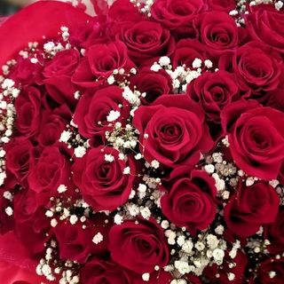 Bouquet di 7 rosa Rosso+gypsophila