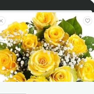 Rosa gialle 21 pezzi