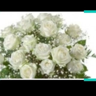 Rosa bianchi 7 pezzi+gypsophila