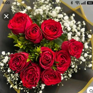 Rosa Rosso 11 con gypsophila