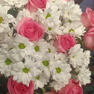 Rosa Rose 11 pezzi con margerita bianchi 5 pezzi