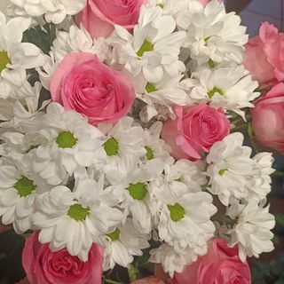 Rosa Rose 11 pezzi con margerita bianchi 5 pezzi