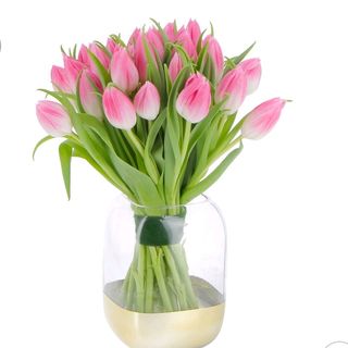 Tulipani Rosa 20 pezzi