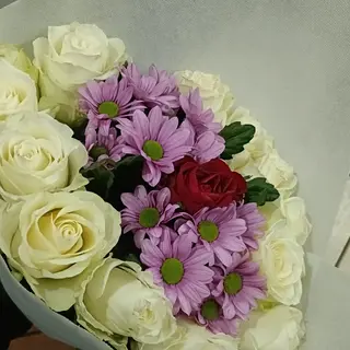 Rosa bianchi 11 Rosso 1, margerita rosa 2 pezzi