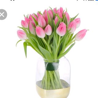 Tulipani Rosa 10 pezzi