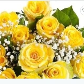 Rosa gialle 3 pezzi con gypsophila