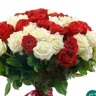 Rosa Rosso+bianchi 101 pezzi