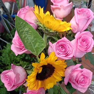 rosa rose 9 pezzi+girasole 2 pezzi