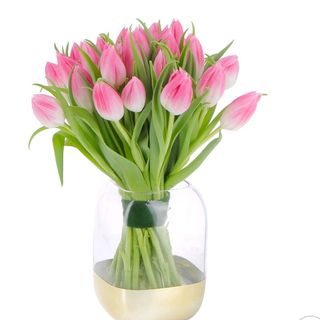 Tulipani Rosa 15 pezzi