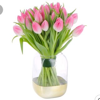 Tulipani Rosa 25 pezzi