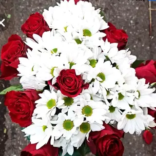 7 Rosa Rosso con 4 bianchi margerita