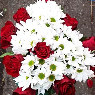 7 Rosa Rosso con 4 bianchi margerita