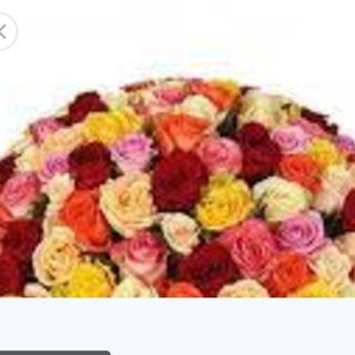 Rosa misto 7 pezzi+gypsophila