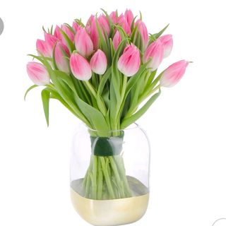 Tulipani Rosa 30 pezzi