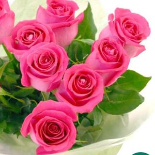 Rosa rose 3 pezzi con gypsophila