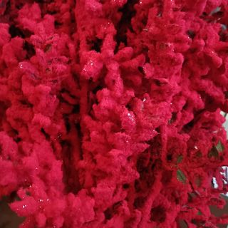 Almacen fiori secchi una pezzi