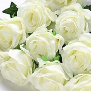 Rosa bianca 21 pezzi