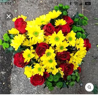 Rosa Rosso 9 pezzi con margerita gialle 5 pezzi+verde 5 pezzi