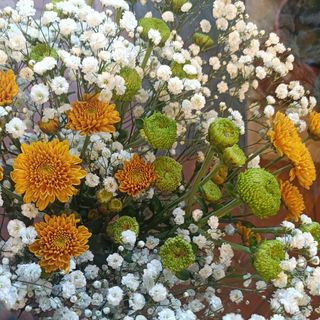 Gypsophila+verde bouquet