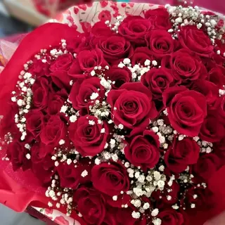 Rosa Rosso 21 pezzi