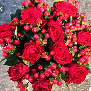 Rosa rosso 7 pezzi con pericon 4 pazzi
