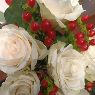 Rosa bianchi 7 pezzi con pericon 4 pezzi
