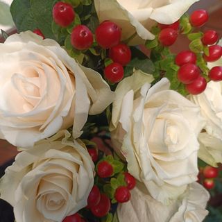 Rosa bianchi 9 pezzi con pericon 8 pezzi