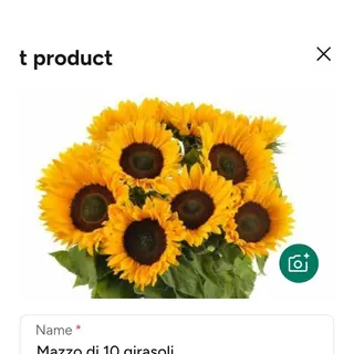 Girasole 11 pezzi
